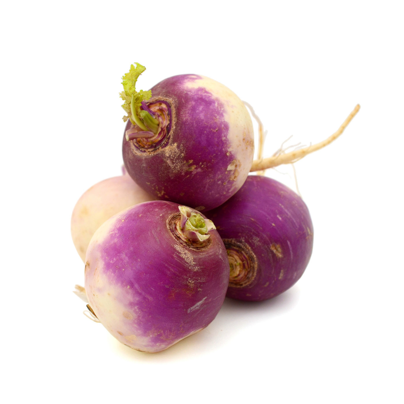 Ρέβες Αυλώνα